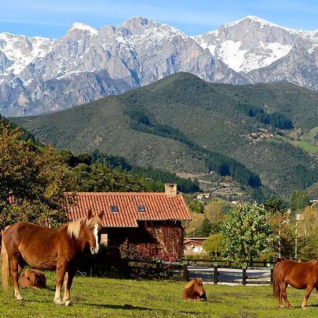 Hotel-Posada La Casa De Frama Екстер'єр фото